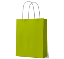 green-color-big-gift-bags-33cm-25cm-12cm